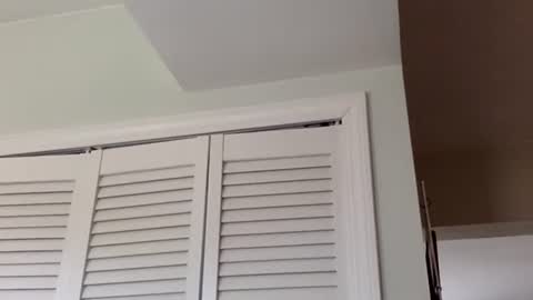 Tyler Durden online show from March 1, 2025, 3:38 pm