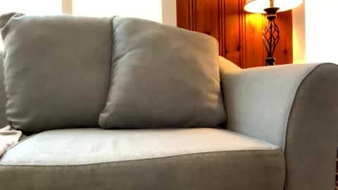 Tyler Sands online show from March 7, 2025, 3:49 pm