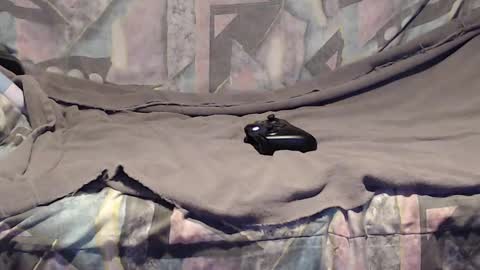 Helena and Tyson online show from January 18, 2025, 4:26 am