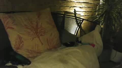 Snapshot of tysonjameson chatting on October 4, 2025, 1:25 am tysonjameson online show from October 4, 2025, 1:25 am