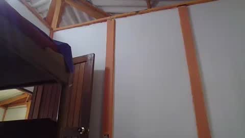 Snapshot of ulramon11 chatting on January 24, 2025, 9:47 pm ulramon11 online show from January 24, 2025, 9:47 pm