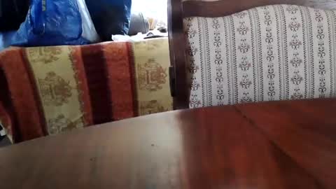 patricia online show from July 3, 2026, 12:22 pm