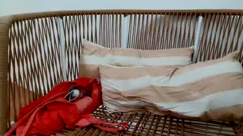 Under  Huge cock with beautiful uncut foreskin online show from January 16, 2025, 8:57 pm