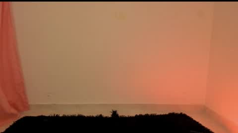 Snapshot of unu_nai chatting on December 29, 2024, 3:00 am new INSTA   online show from December 29, 2024, 3:00 am