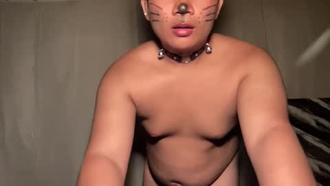 Snapshot of ur_fucking2005 chatting on April 8, 2026, 3:56 pm DA online show from April 8, 2026, 3:56 pm