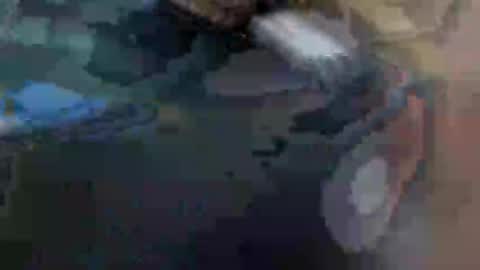 fiona online show from January 29, 2025, 10:48 am