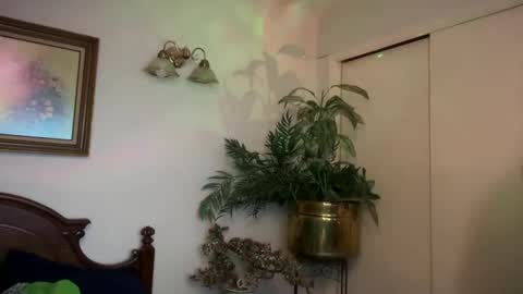 Sasha online show from January 28, 2025, 1:05 pm