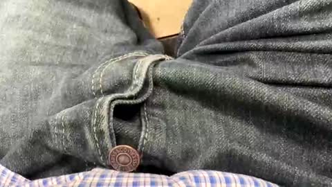 usabound online show from December 1, 2025, 11:26 am