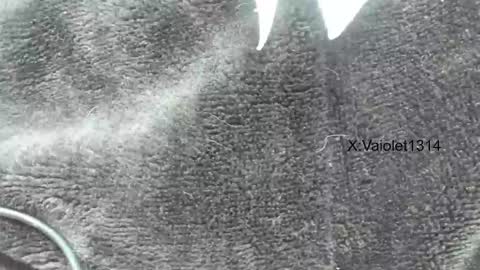 Snapshot of vaioletuwu chatting on January 26, 2025, 3:58 pm Vaiolet1314 online show from January 26, 2025, 3:58 pm