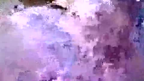 Snapshot of valdiciorocha6 chatting on June 4, 2026, 2:17 am valdiciorocha6 online show from June 4, 2026, 2:17 am