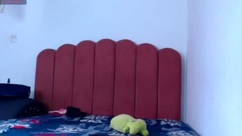 Snapshot of valerybaker1 chatting on January 2, 2025, 5:18 pm B V Naughty online show from January 2, 2025, 5:18 pm