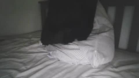 Snapshot of varghese28 chatting on September 18, 2025, 10:06 am kerala mallu boy online show from September 18, 2025, 10:06 am