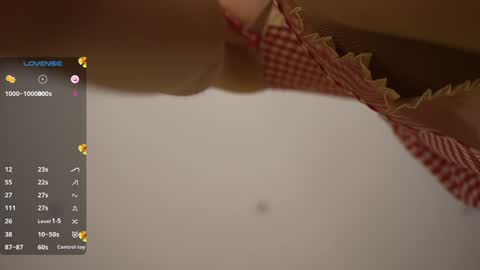 Snapshot of vasillisa chatting on February 8, 2026, 10:51 am Vasilisa online show from February 8, 2026, 10:51 am