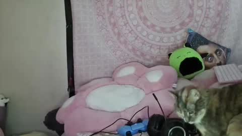 Veronica Lehane online show from January 9, 2025, 7:10 am