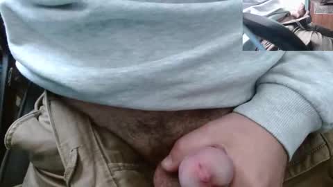 vegeta_ssj online show from March 29, 2026, 2:39 pm