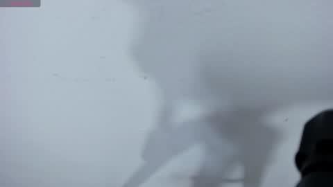 veneno hot online show from February 8, 2025, 7:49 pm