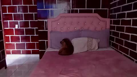 Snapshot of venus_megan chatting on March 8, 2025, 10:34 pm emily independent account  MY conextion 1100 GTM  to  17hr GTM online show from March 8, 2025, 10:34 pm