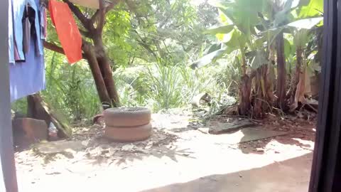 venus ... zeus sheer  online show from February 26, 2025, 5:07 pm