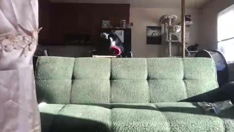 Snapshot of venustheflytrap chatting on May 21, 2026, 11:23 pm venustheflytrap online show from May 21, 2026, 11:23 pm