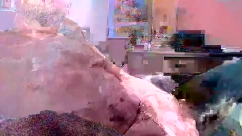 vermontguy76 online show from December 30, 2024, 4:31 am