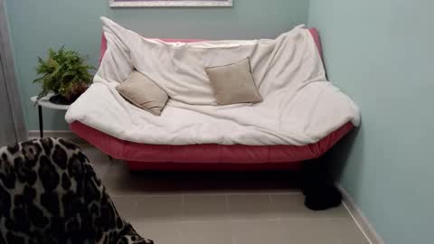 Helen online show from March 12, 2025, 11:42 am