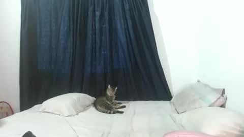 veronicagracia2531 online show from November 17, 2025, 9:09 pm