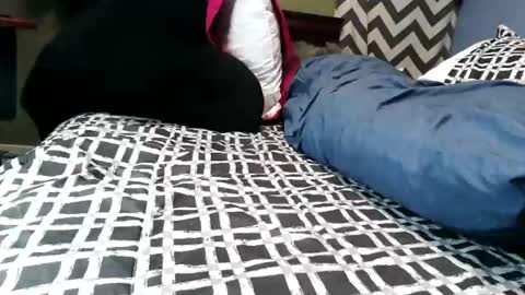 Vexnew online show from February 21, 2026, 9:38 pm