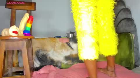 vicky manuela online show from June 25, 2026, 4:34 am