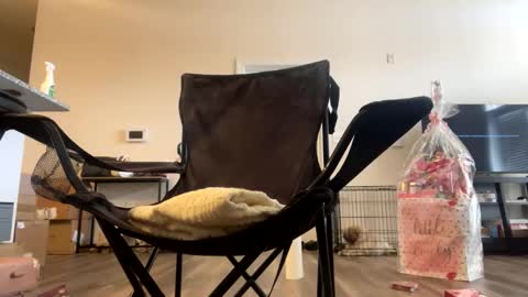 Snapshot of victoryd007 chatting on February 22, 2025, 7:25 pm victoryd007 online show from February 22, 2025, 7:25 pm