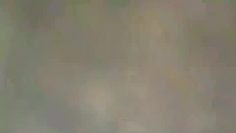 Snapshot of viennaguy79 chatting on March 3, 2026, 7:47 am viennaguy79 online show from March 3, 2026, 7:47 am