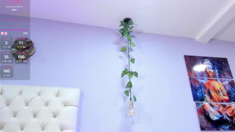 Violeth online show from February 17, 2025, 10:25 pm