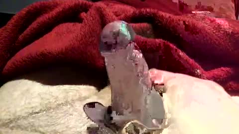 virtual_hand_player online show from January 31, 2025, 6:36 pm