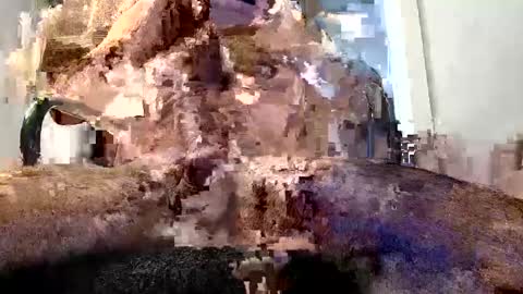 Snapshot of virtualsin114 chatting on May 29, 2026, 2:48 pm horny guy online show from May 29, 2026, 2:48 pm