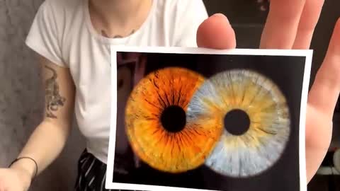 Snapshot of viviennebuiles chatting on October 13, 2025, 12:16 pm Alexa online show from October 13, 2025, 12:16 pm