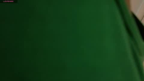 Snapshot of vixen_flutter chatting on April 1, 2026, 11:44 am Vixen online show from April 1, 2026, 11:44 am