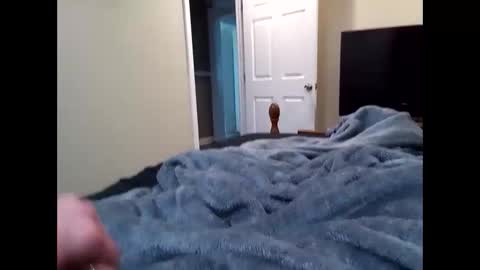 vladedivac1998 online show from March 31, 2026, 6:19 pm