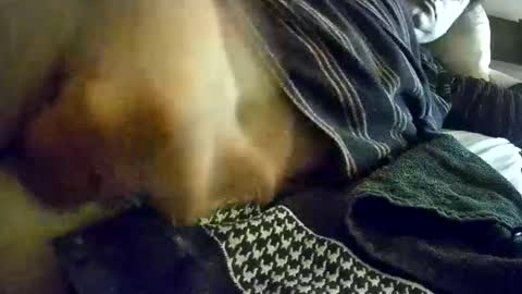 Snapshot of vleeslollie2024 chatting on January 13, 2025, 7:21 am vleeslollie2024 online show from January 13, 2025, 7:21 am