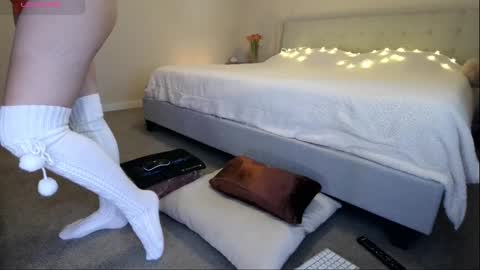 Sunshiny online show from February 16, 2025, 7:49 pm