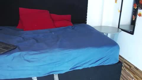 wild cat  online show from October 28, 2025, 8:00 pm