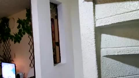 Waningrose  Lu online show from January 4, 2025, 2:25 am