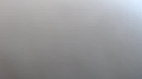 Johnny Dream online show from December 24, 2024, 6:33 am