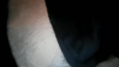 wantobone2 online show from February 9, 2026, 11:14 am