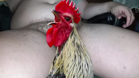 classified online show from December 24, 2024, 11:33 pm