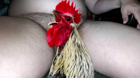 classified online show from October 4, 2025, 7:34 pm