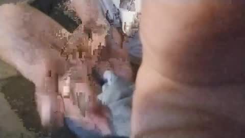 Snapshot of watchmespun chatting on November 7, 2025, 10:43 pm watchmespun online show from November 7, 2025, 10:43 pm