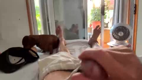 watershed111111 online show from February 6, 2026, 11:08 pm