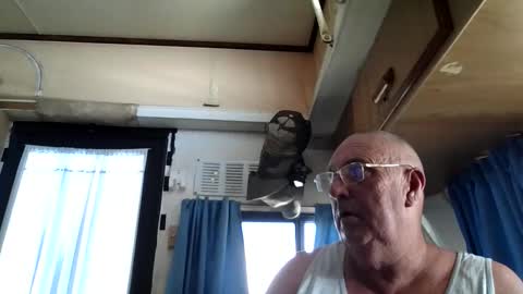 wazahardon2 online show from September 20, 2025, 3:51 am