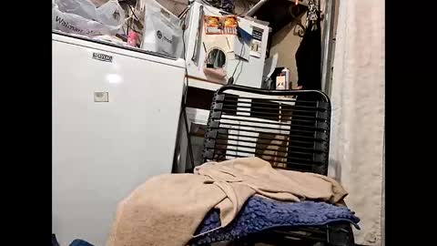 Snapshot of wcnmail24 chatting on February 16, 2026, 7:21 pm wcnmail24 online show from February 16, 2026, 7:21 pm