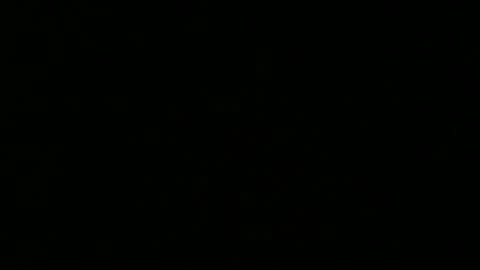 weeskank online show from October 5, 2025, 6:17 pm