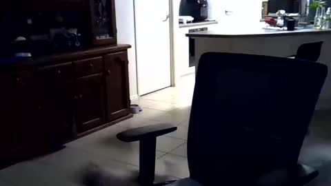 Wellhelloo online show from February 15, 2026, 12:36 pm